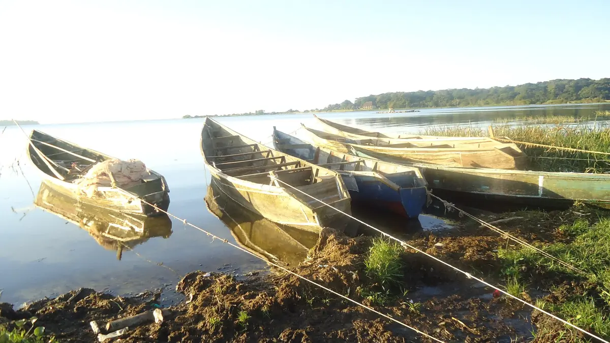 Wooden boats at Lutoboka landing site