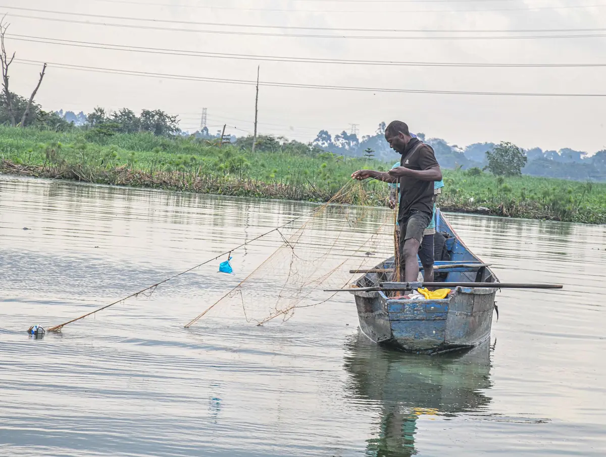 Fishermen pulling in their nets