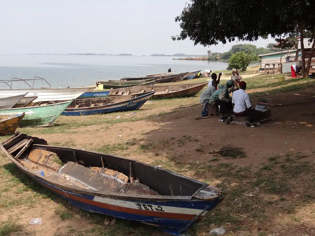 Canoes on the beach of a fishing village on Lake Victoria