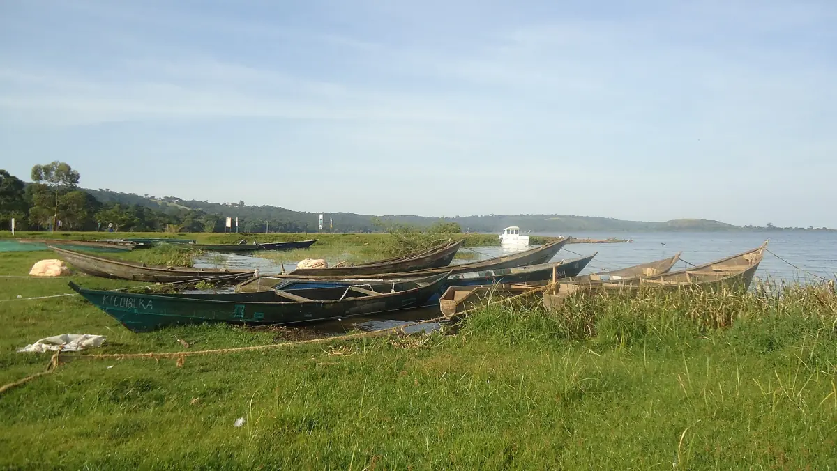 Boats pulled up at Lutoboka landing site in Kalangala