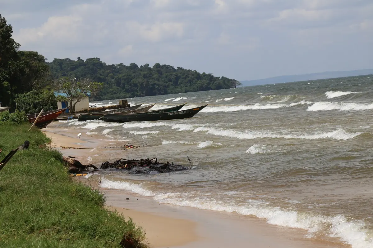 The forested shore of the Ssese Islands on Lake Victoria