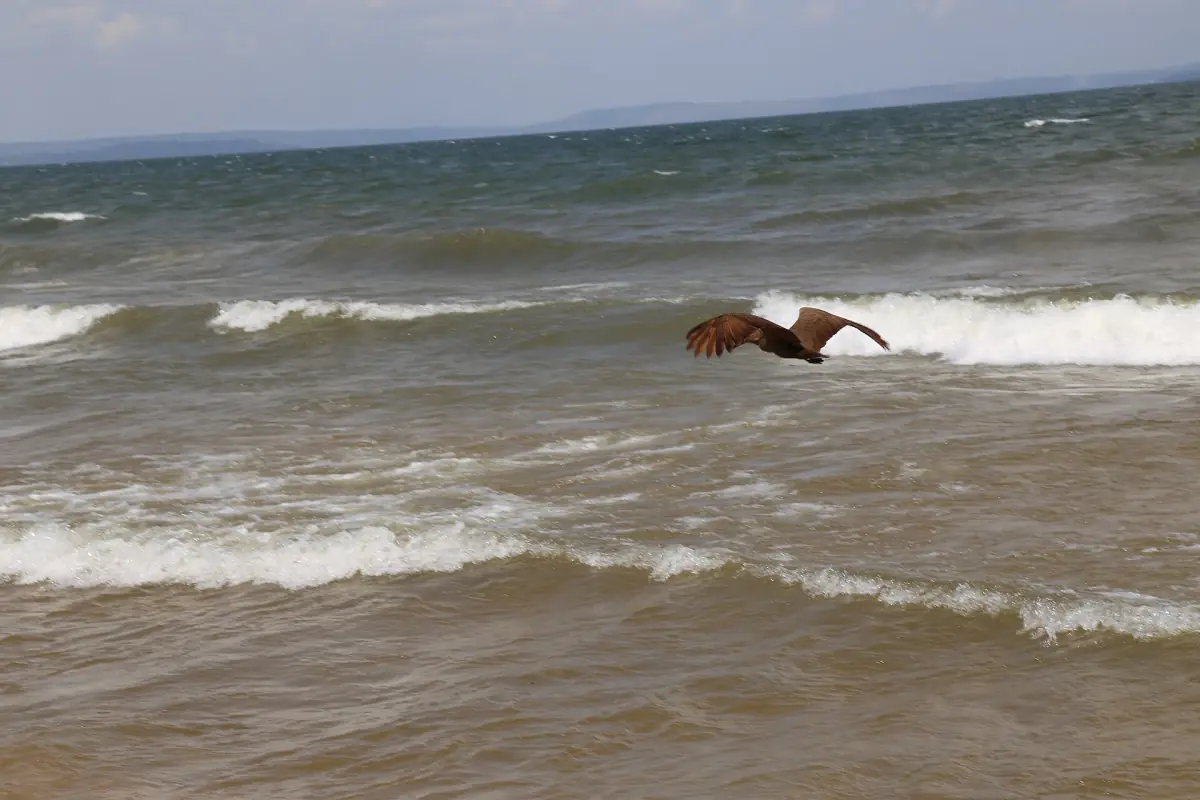 Waves rolling onto the shore of the Ssese Islands